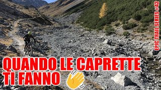 Quando le caprette ti fanno ciao