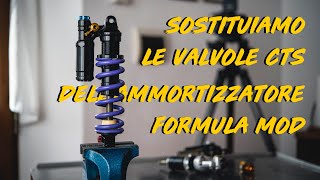 Sostituzione dei CTS su un ammortizzatore...