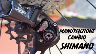 La manutenzione del cambio Shimano (e come...