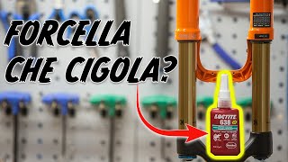 Forcella che cigola? Risolviamo il problema