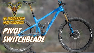 Test Pivot Switchblade 29