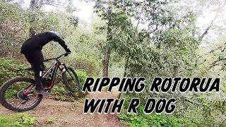 Ripping Rotorua With R Dog