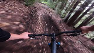 Riding the Specialized Stumpjumper EVO Pro...