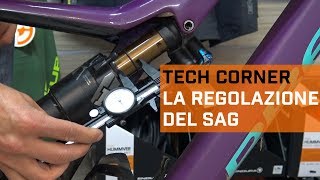 La regolazione del sag