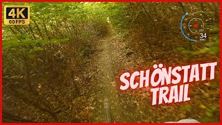 MTB Wienerwald Schönstatt Trail  RAW 2022 |...