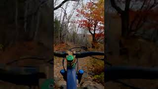 There is some chunk on this Minnesota trail |...