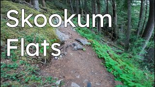 Intense Forced Intervals on Skookum Flats