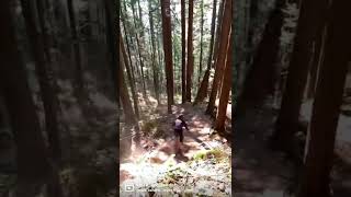 Sending Some Of The Biggest Dry On Cypress MTN