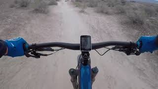 Bearclaw Poppy St George Utah Full Downhill