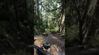 Riding Even Harder Lines On The Hardest Trail...