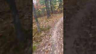 Riding beautiful fall singletrack!