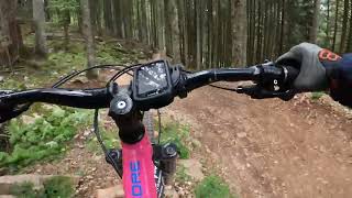 Willy Wonka - Dolomiti Paganella