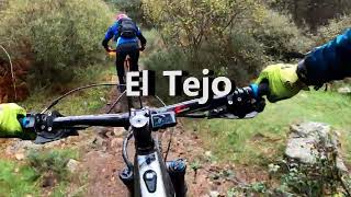 el tejo