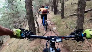 Municiones Singletrack Oct