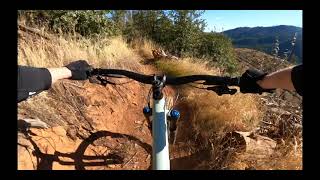 Boggs | Scout, Karen & Mac Trails