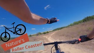 Nature's Roller Coaster