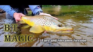 BT Magic - Euro and Streamer Session - Michigan