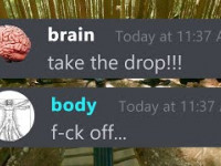 BRAIN or BODY? Who do you listen to?