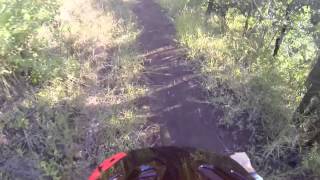 Toowoomba Trails - Bridle to Firetail by...