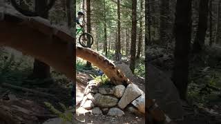 MTB: Wood Roll to Berm  #shorts