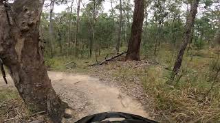 Pete's - Nerang MTB Park