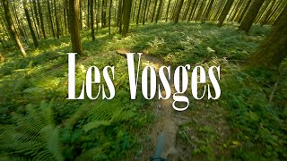 Blind Enduro-Trails in the Vosges