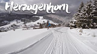Snowboarding from Herzogenhorn to Bernau Hof...