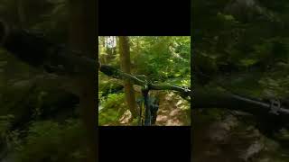 MTB: Roots Bloody Roots! ⚰️ #shorts