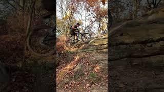 Switchback Level 5?