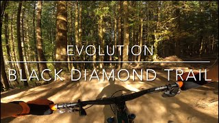 Evolution and Unemployment Trails at Galbraith...