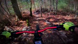 Yolo & Downhill - Village Park Trails In...