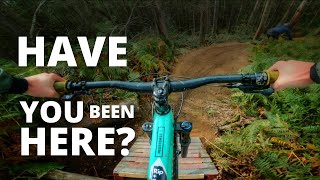 ENJOYING LOCAL MTB TRAILS