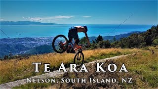 A beautiful piece of singletrail: Te Ara Koa,...