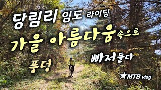 다시 가고싶은 명품 임도 / 당림리...