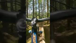 skinny-ish bridge  #mtb #shorts