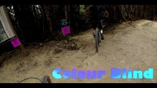 Colour Blind @Maydena Bike Park (Tasmania)​