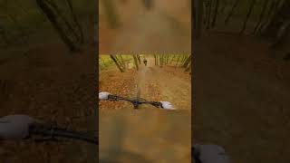 MTB chase Phil B 