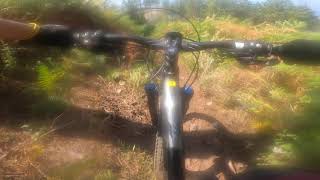 Trail Muttley - Belmonte Calabro Bike Area