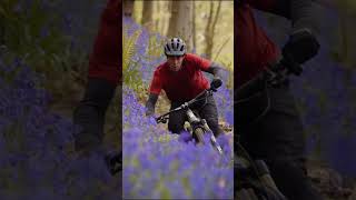 Who wouldn’t want to ride a trail like this?