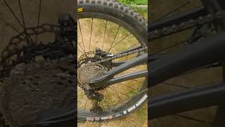 BERD spokes = smooth ride  #mtb #shorts