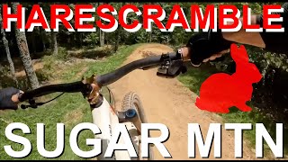 Haresscramble and jumps // Sugar Mountain MTB...