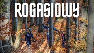 Singiel pod Radziejową | Rogasiowy | Zjazd z...