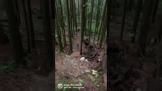 North Shore Loam #biking #mountainbiking #mtb...