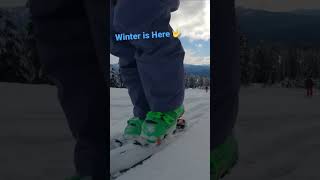 Winter is Coming  #shorts #asmr