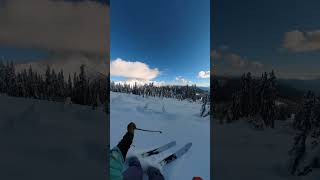 It’s alright skiing the glades  #shorts