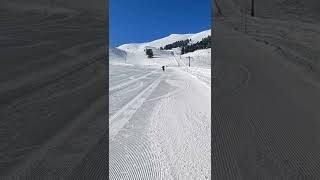 #skibike #snowbike