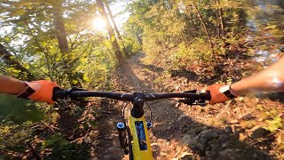 Snakeroot - Virginia Tech Enduro Stage 4 Preview