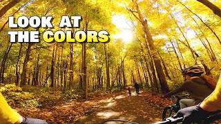 Autumn Bike Ride on the Paved Path at Potato...