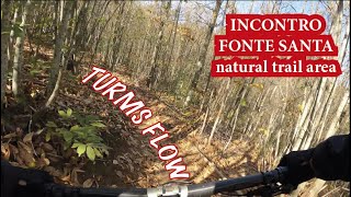 Turms flow IFS003 Incontro Fonte Santa natural...