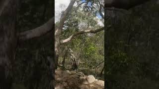 Redemption #mtblife #shorts #mountainbike